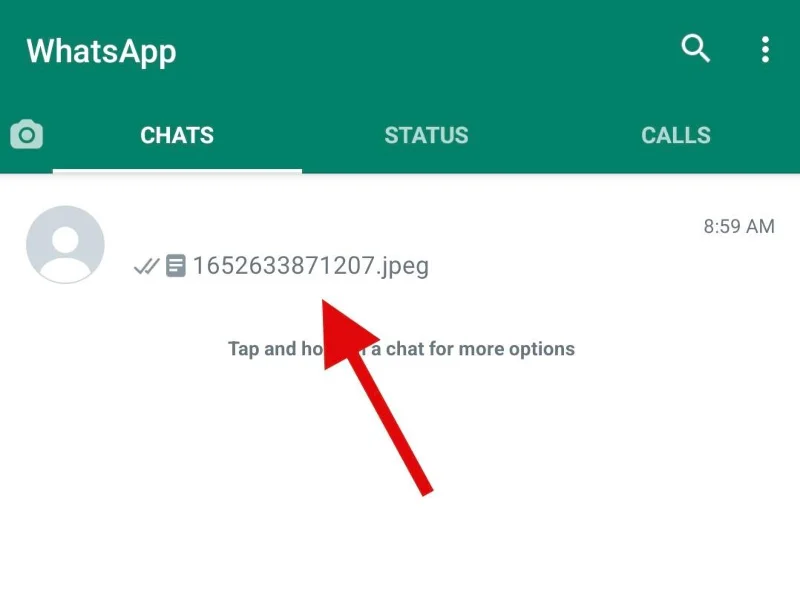 iPhone 또는 Android의 Whatsapp에서 사진을 문서로 보내는 방법