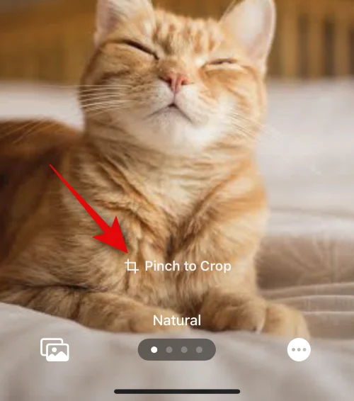 iOS 17이 설치된 iPhone에서 누군가를 위한 연락처 포스터를 만드는 방법