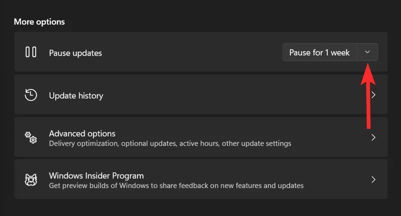 업데이트하지 않고 Windows 11을 종료하는 6가지 방법[100% 작동]
