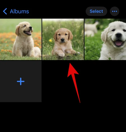 IOS 16: 사진으로 스티커를 만드는 방법