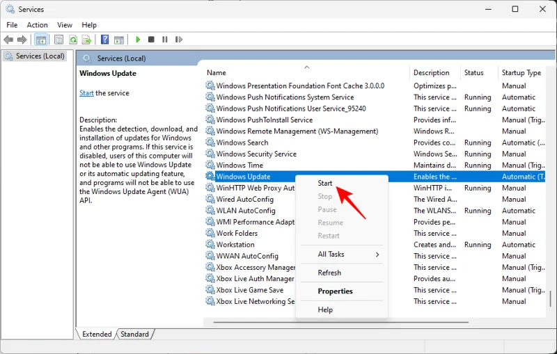 7 วิธีในการแก้ไข “ข้อผิดพลาดการดาวน์โหลด 0x80248007” บน Windows [คำแนะนำทีละขั้นตอน]