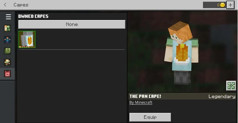 Minecraft에서 망토를 얻는 방법