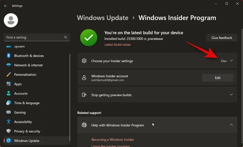 วิธีการติดตั้ง Windows 11 Canary Build