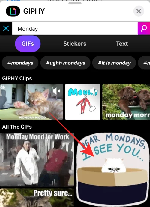 iPhone에서 GIF가 작동하지 않나요?  10가지 방법으로 고치는 방법