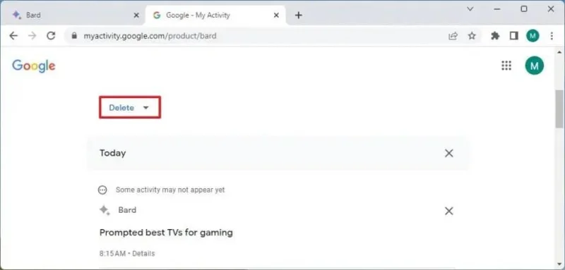 Google Bard AI のアクティビティ履歴をクリアする方法