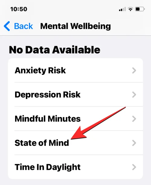 如何在運行 iOS 17 的 iPhone 上的“健康”應用中記錄您的心態
