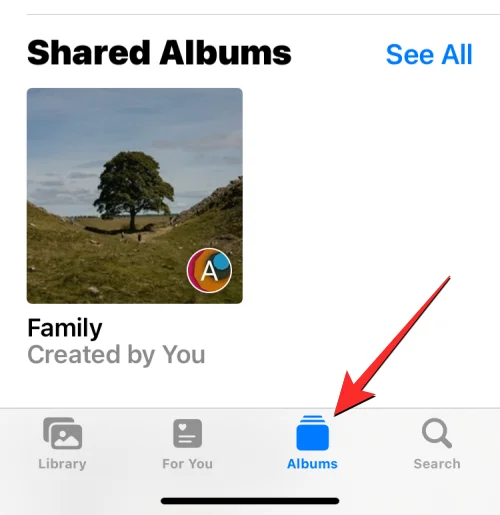 如何在 iPhone 上隱藏照片 [2023]