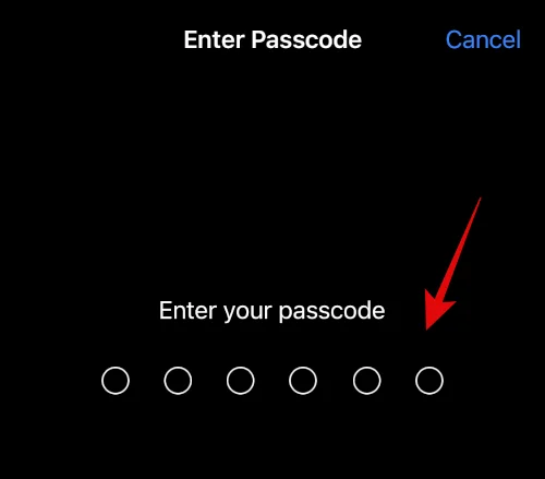 IOS 16 사진 컷아웃이 작동하지 않나요?  8가지 방법으로 고치는 방법