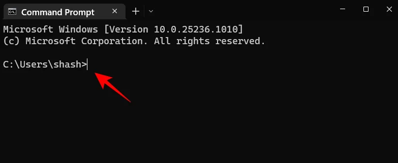 Command Prompt Standard User