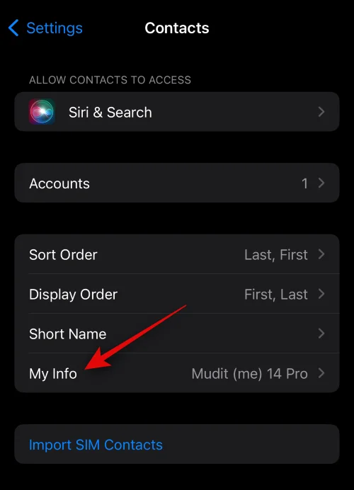 如何在裝有 iOS 17 的 iPhone 上設置聯繫人照片和海報