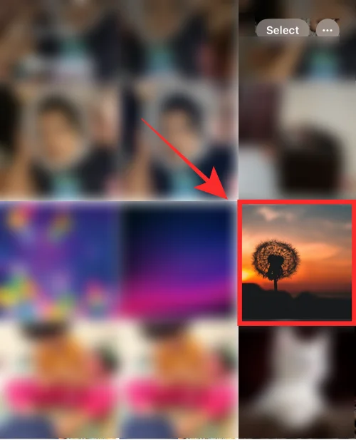 iPhone의 모든 이미지에서 iPhone 배경화면을 자르는 방법