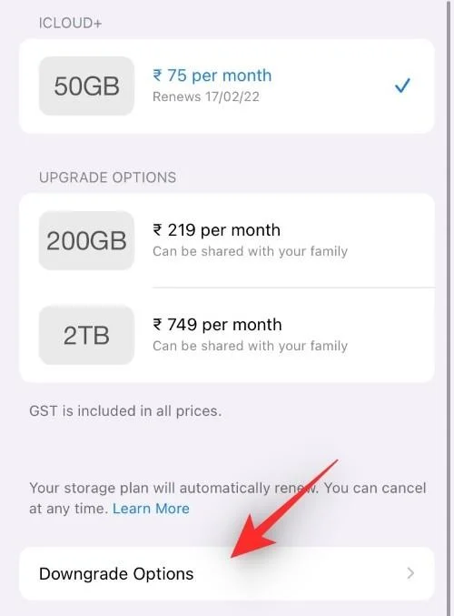 iPhone에서 앱 구독을 취소하는 방법: 알아야 할 모든 것
