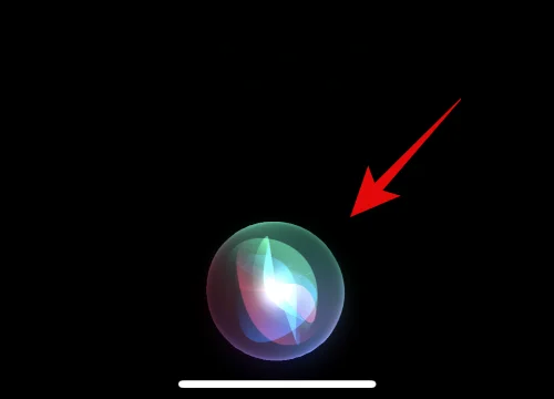 iPhone 14에서 Siri를 다운로드하고 사용하는 방법