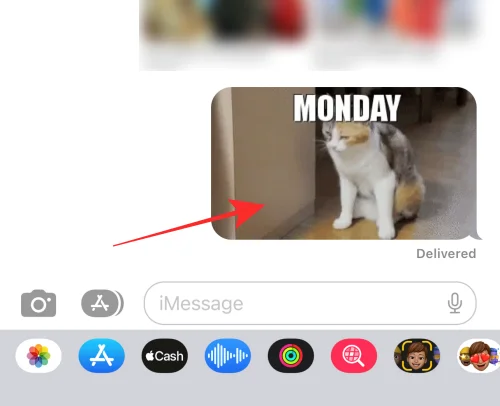 iPhone에서 GIF가 작동하지 않나요?  10가지 방법으로 고치는 방법