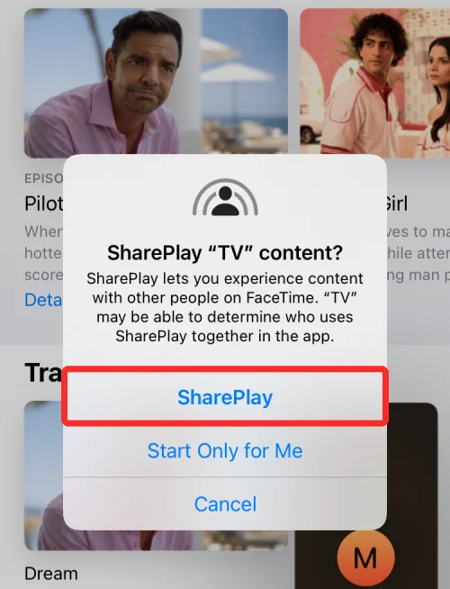 SharePlay가 작동하지 않는 문제를 해결하는 14가지 방법