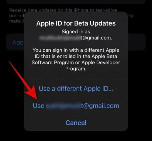 如何為 iOS Beta 更新選擇不同的 Apple ID