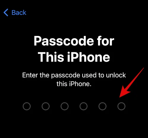 IOS 16 사진 컷아웃이 작동하지 않나요?  8가지 방법으로 고치는 방법