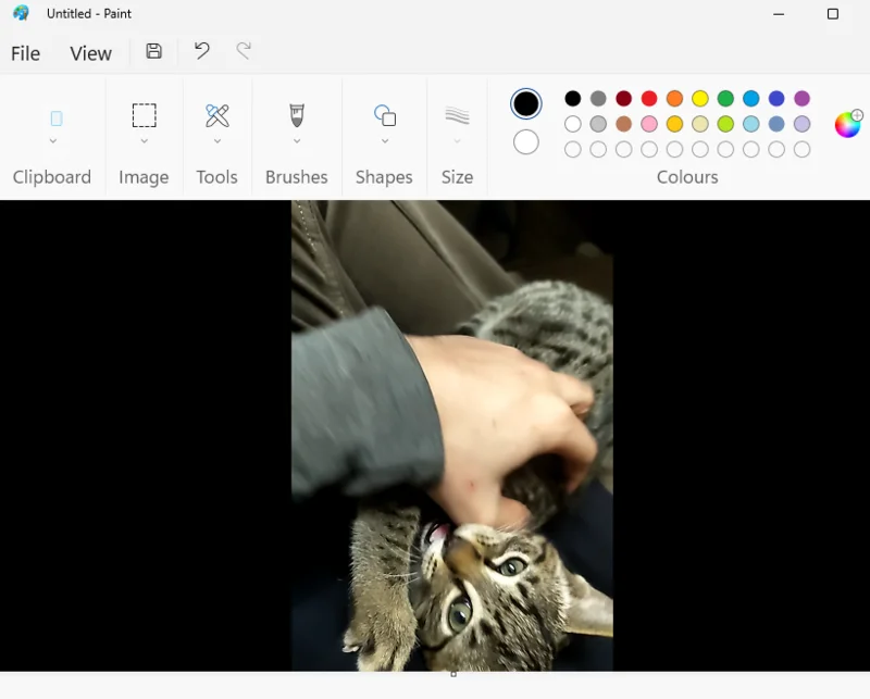 Clipchamp에서 프레임을 고정하는 방법: 단계별 가이드