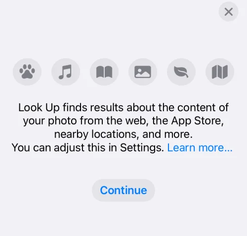 iPhone에서 시각적 조회가 작동하지 않나요?  문제를 해결하는 7가지 방법