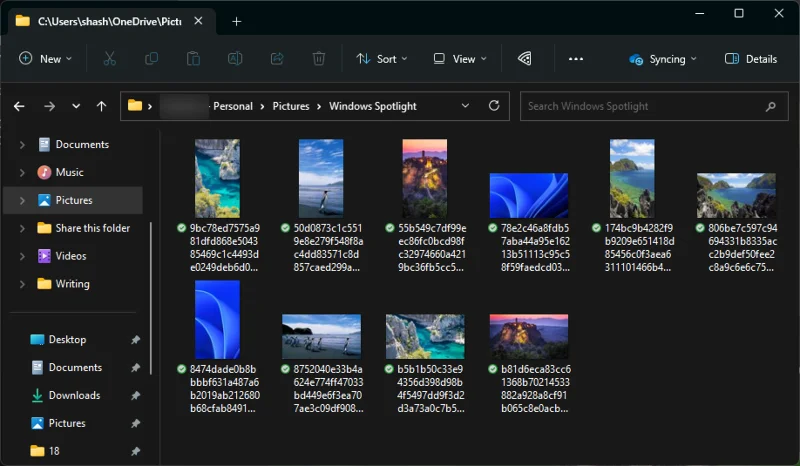 วิธีดาวน์โหลดรูปภาพวอลเปเปอร์ Windows Spotlight บนพีซีของคุณ