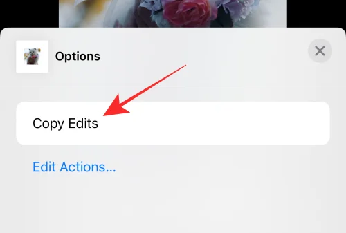 iOS 16의 iPhone 사진 앱에서 편집 내용을 복사하는 방법