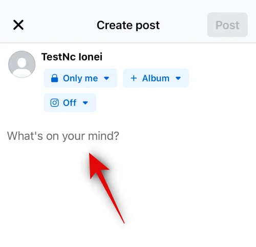 iPhone에서 Facebook에 복사하여 붙여넣는 방법 [2023]