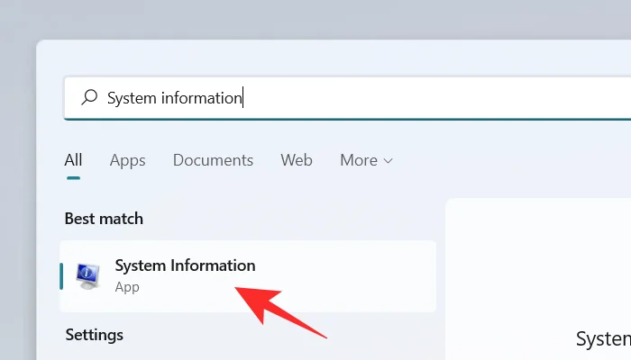 Windows 11 PC에서 컴퓨터 모델을 찾는 10가지 쉬운 방법