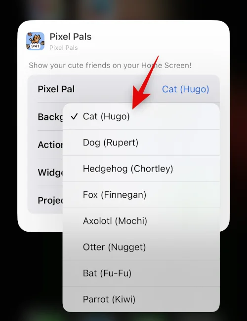 iPhone 14 Pro 및 Pro Max에서 Pixel Pals를 얻는 방법