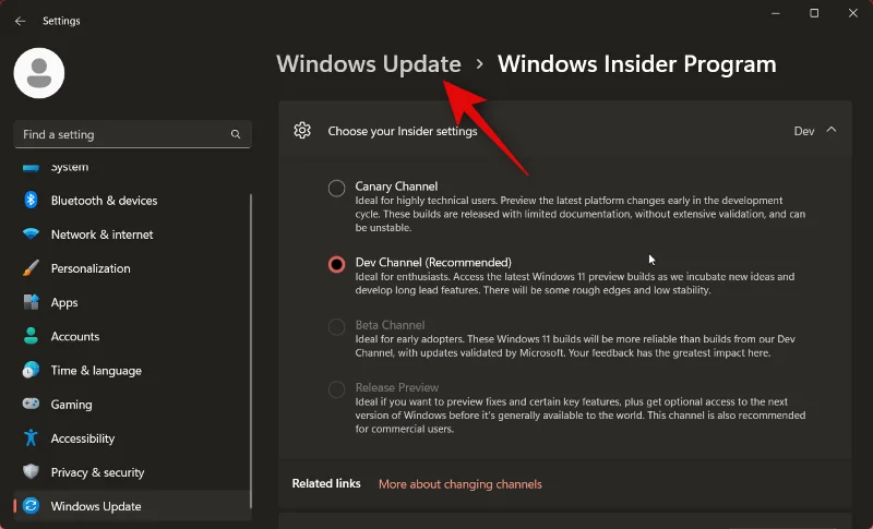 วิธีการติดตั้ง Windows 11 Canary Build