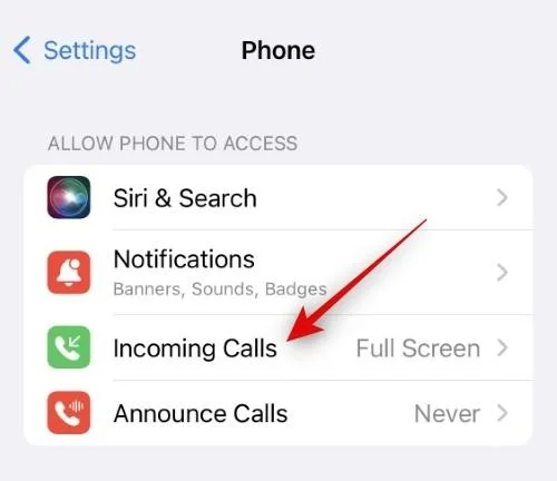 iPhone에서 Facetime을 전체 화면으로 만드는 방법