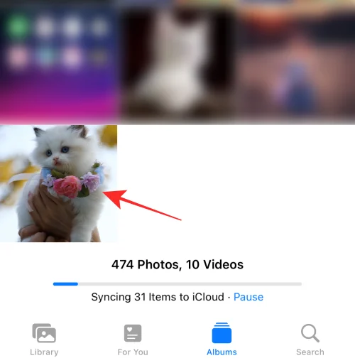 iOS 16의 iPhone 사진 앱에서 편집 내용을 복사하는 방법