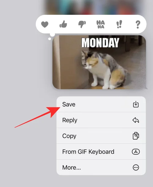 iPhone에서 GIF가 작동하지 않나요?  10가지 방법으로 고치는 방법