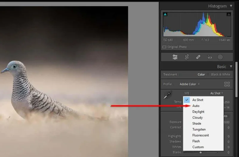 기술 향상을 위한 10가지 Lightroom 편집 팁