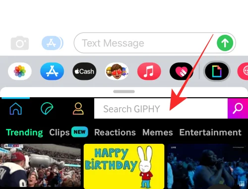 iPhone에서 GIF가 작동하지 않나요?  10가지 방법으로 고치는 방법