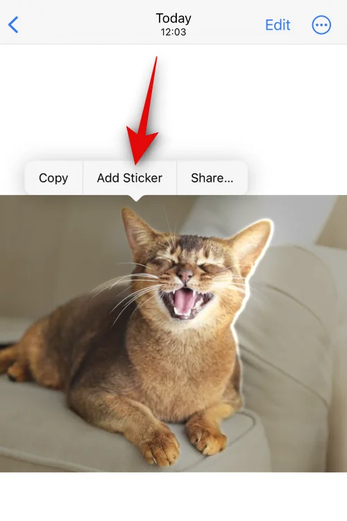 iOS 17以降で写真を使用してLiveステッカーを作成する方法