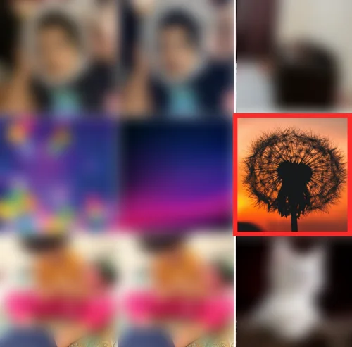 iPhone의 모든 이미지에서 iPhone 배경화면을 자르는 방법