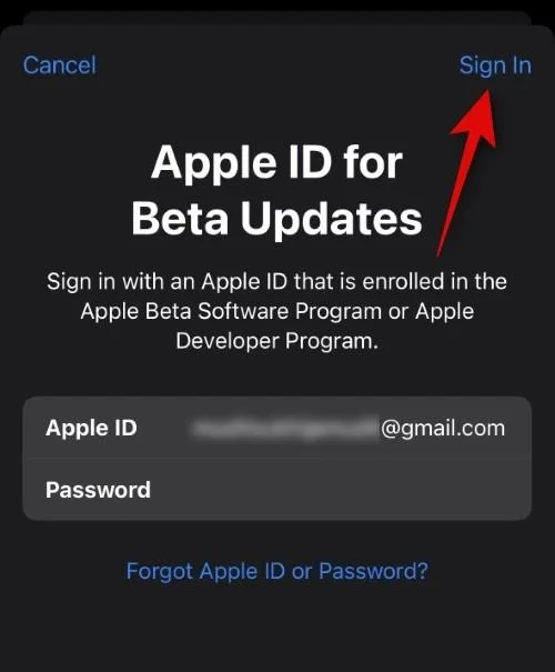 如何為 iOS Beta 更新選擇不同的 Apple ID