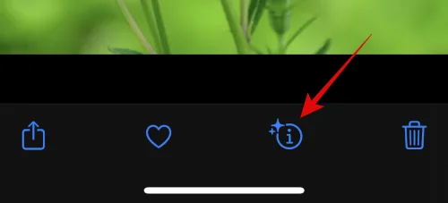 IOS 16 사진 컷아웃이 작동하지 않나요?  8가지 방법으로 고치는 방법
