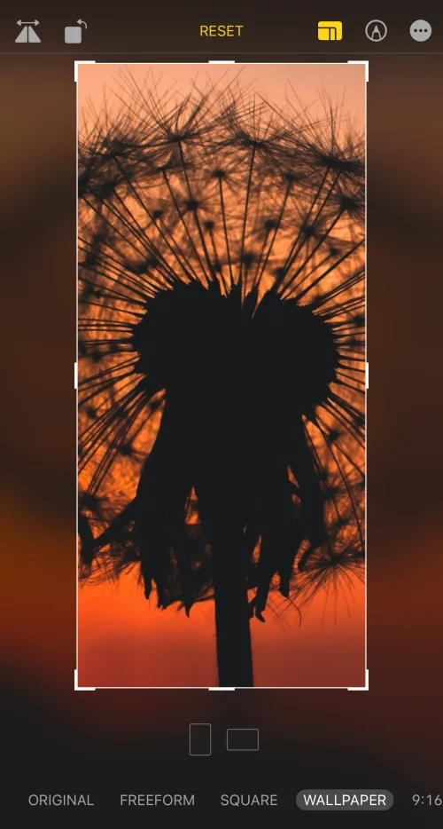 iPhone의 모든 이미지에서 iPhone 배경화면을 자르는 방법
