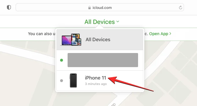 선택한 iPhone