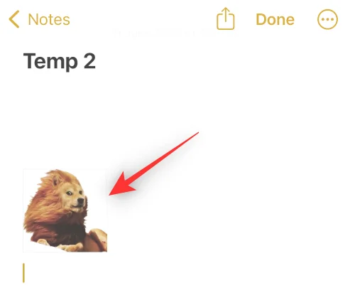 IOS 16 사진 컷아웃: 컷아웃을 만드는 6가지 방법과 붙여넣고 사용하는 4가지 방법
