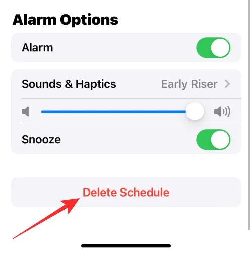 iPhone에서 알람을 끄는 방법 [2023]