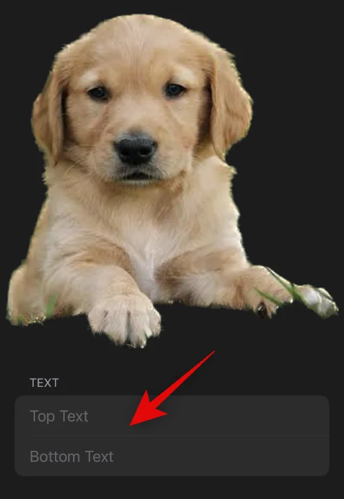 IOS 16: 사진으로 스티커를 만드는 방법