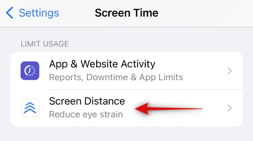 iOS 17에서 화면 거리를 끄는 방법
