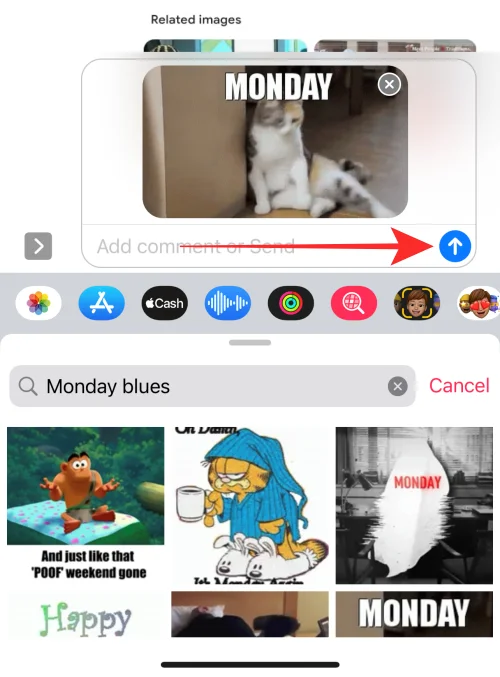 iPhone에서 GIF가 작동하지 않나요?  10가지 방법으로 고치는 방법