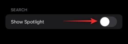 iOS 16 홈 화면의 검색 버튼은 무엇입니까?