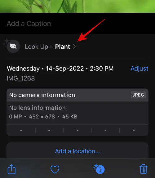 IOS 16 사진 컷아웃이 작동하지 않나요?  8가지 방법으로 고치는 방법
