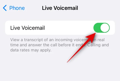 什麼是 iOS 17 上的實時語音郵件以及如何啟用和使用它
