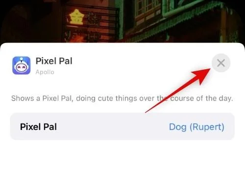 iPhone 14 Pro 및 Pro Max에서 Pixel Pals를 얻는 방법