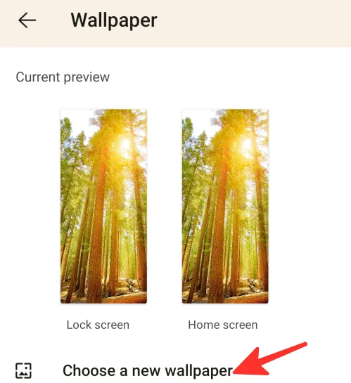 Android에서 Microsoft Launcher를 설정하고 사용하는 방법[2023]